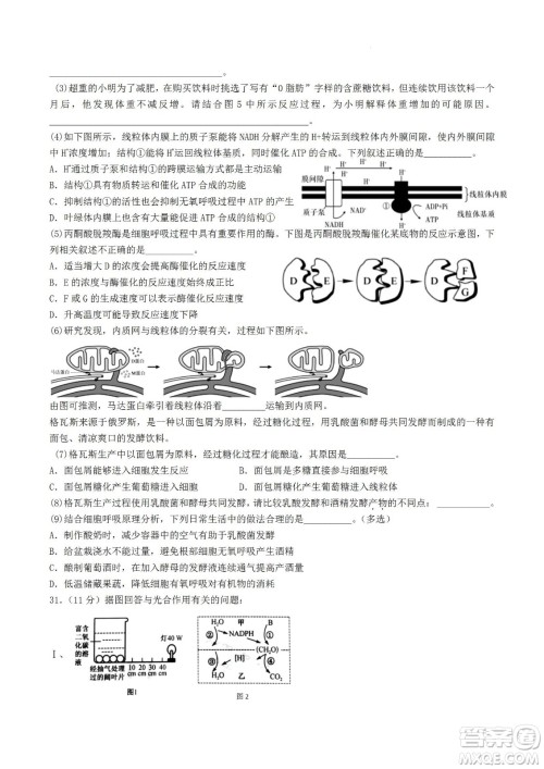 河南省信阳高级中学2022-2023学年高三上学期开学考试理科综合试题及答案