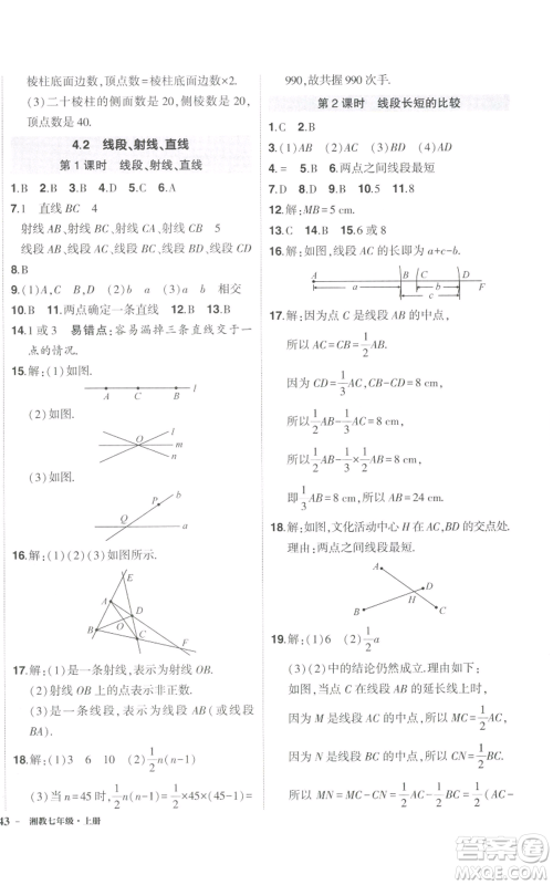 吉林教育出版社2022秋季状元成才路创优作业七年级上册数学湘教版参考答案