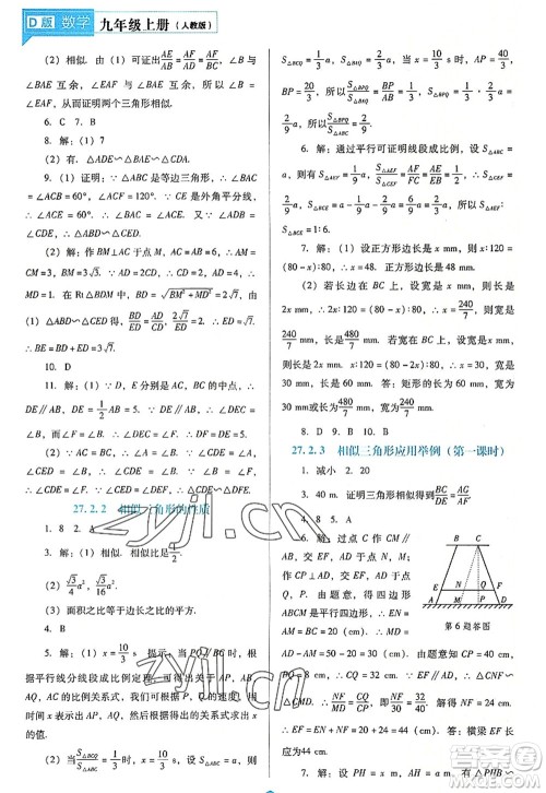 辽海出版社2022新课程数学能力培养九年级上册人教版D版大连专用答案 辽海出版社2022新课程数学能力培养九年级上册人教版D版大连专用答案