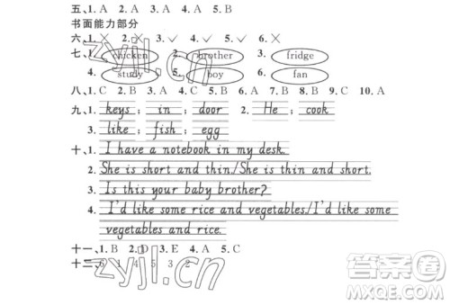 江西教育出版社2022阳光同学一线名师全优好卷英语四年级上册人教版答案 江西教育出版社2022阳光同学一线名师全优好卷英语四年级上册人教版答案