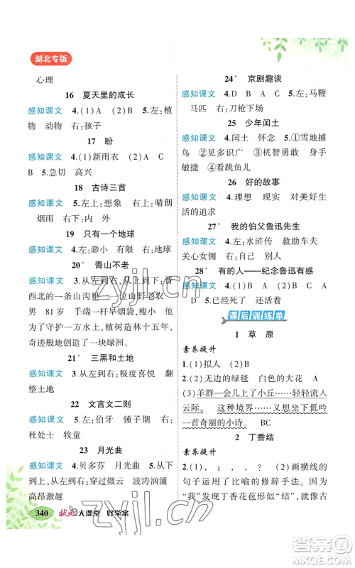 吉林教育出版社2022秋季状元成才路状元大课堂六年级上册语文人教版湖北专版参考答案 吉林教育出版社2022秋季状元成才路状元大课堂六年级上册语文人教版湖北专版参考答案