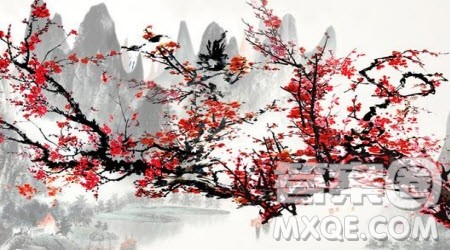 写梅花的五年级作文500字 关于写梅花的五年级作文500字