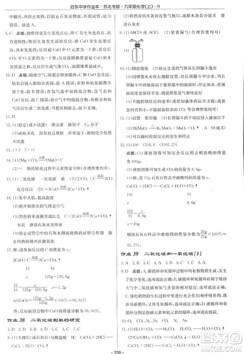 龙门书局2022启东中学作业本九年级化学上册R人教版苏北专版答案 龙门书局2022启东中学作业本九年级化学上册R人教版苏北专版答案