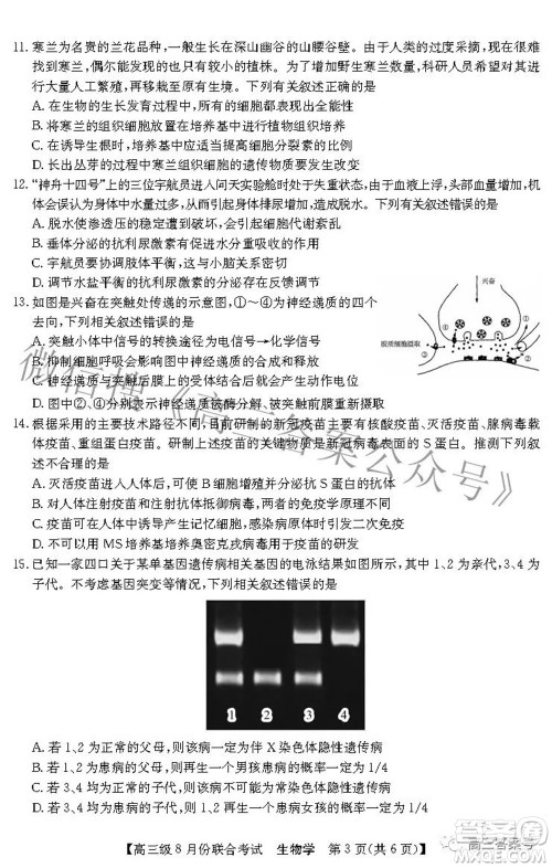 清中河中北中惠中2023届高三级8月份联合考试生物学试题及答案