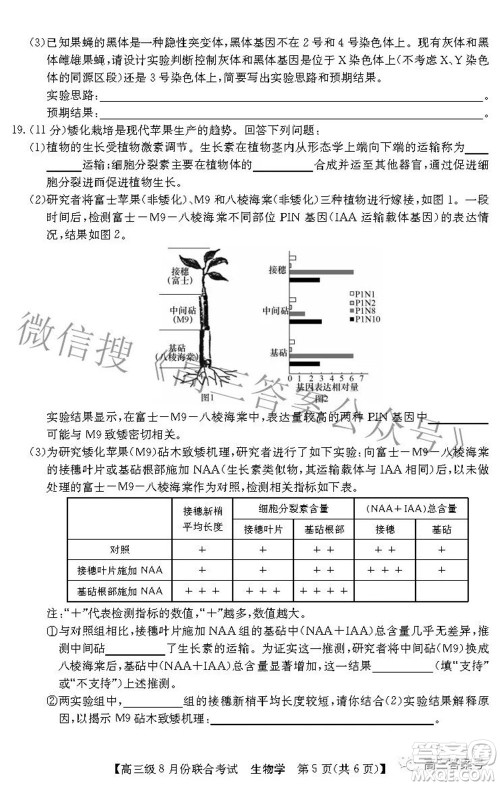 清中河中北中惠中2023届高三级8月份联合考试生物学试题及答案