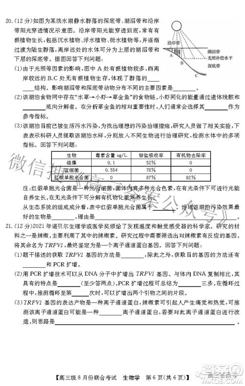 清中河中北中惠中2023届高三级8月份联合考试生物学试题及答案