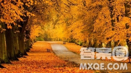 长风破浪会有时材料作文800字 关于长风破浪会有时的材料作文800字 长风破浪会有时材料作文800字 关于长风破浪会有时的材料作文800字