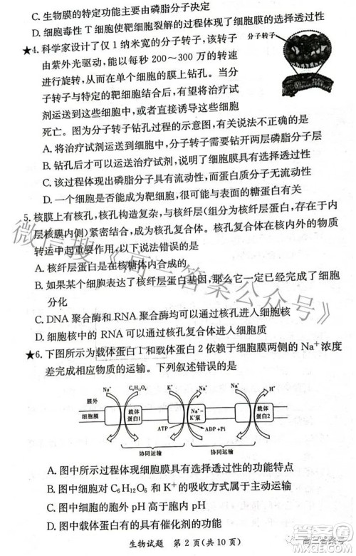 炎德英才大联考2022年秋高三入学检测生物试题及答案