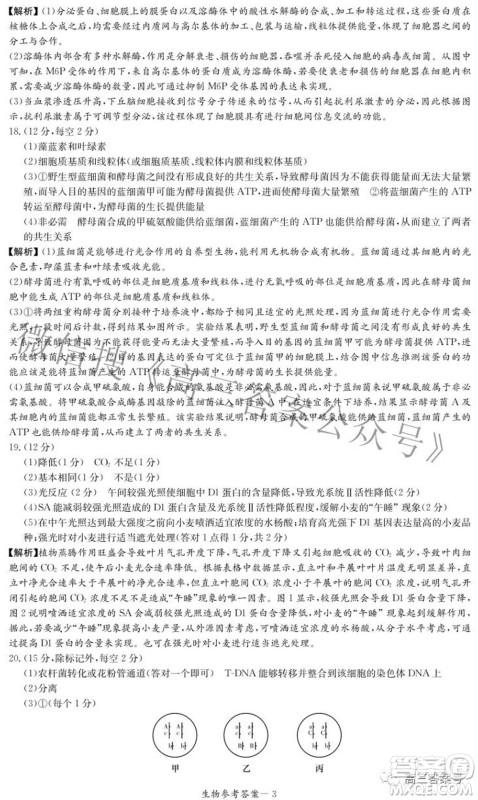 炎德英才大联考2022年秋高三入学检测生物试题及答案
