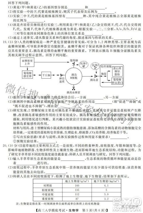 湘潭市2023届高三入学摸底考试生物学试题及答案 湘潭市2023届高三入学摸底考试生物学试题及答案