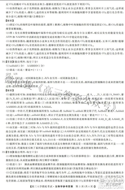 湘潭市2023届高三入学摸底考试生物学试题及答案 湘潭市2023届高三入学摸底考试生物学试题及答案