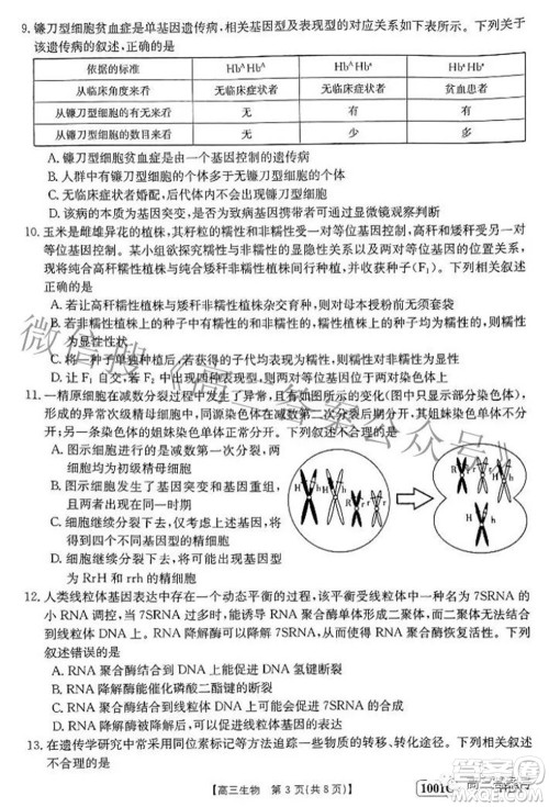 2023届金太阳8月联考1001C高三生物试题及答案