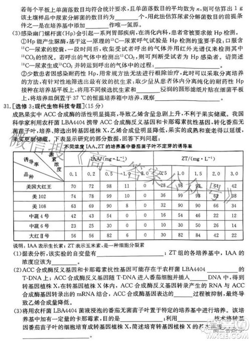 2023届金太阳8月联考1001C高三生物试题及答案