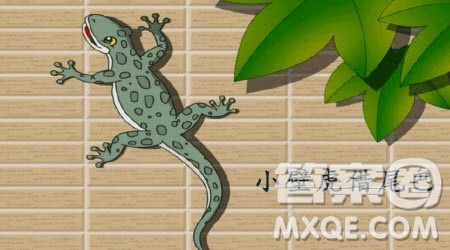仿写小壁虎借尾巴小学作文300字 关于仿写小壁虎借尾巴的作文300字
