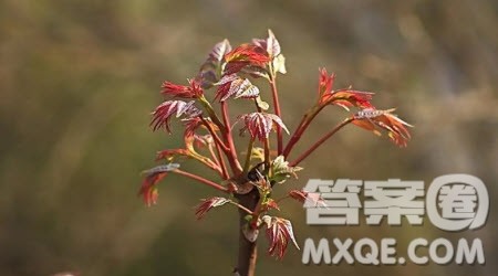 晚秋印象作文600字 关于晚秋印象的作文600字 晚秋印象作文600字 关于晚秋印象的作文600字