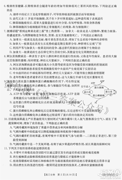 2022-2023学年高三浙里卷天下8月开学测试生物试题及答案 2022-2023学年高三浙里卷天下8月开学测试生物试题及答案