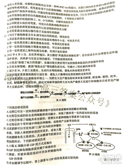 2022学年第一学期浙江省七彩阳光新高考研究联盟返校联考高三生物试题及答案