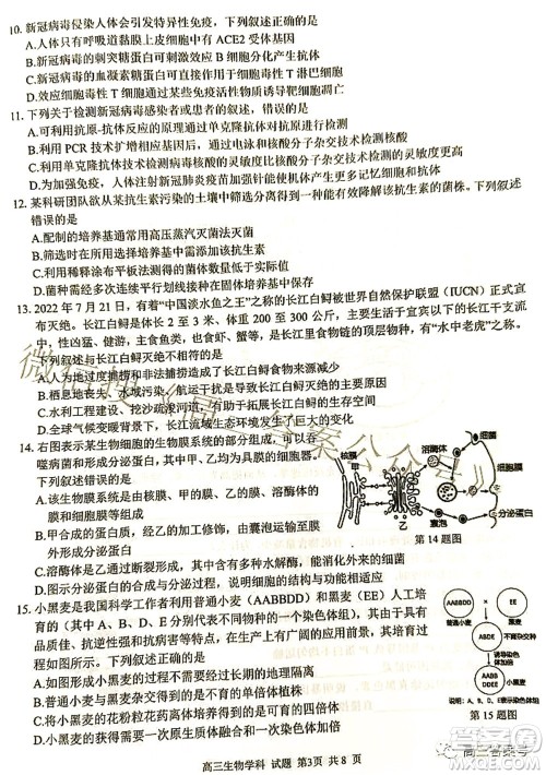 2022学年第一学期浙江省七彩阳光新高考研究联盟返校联考高三生物试题及答案