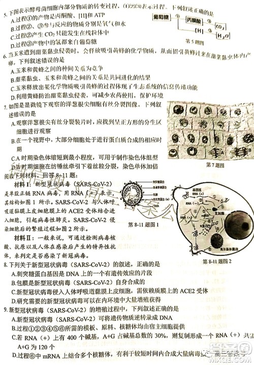 2022学年第一学期浙江省七彩阳光新高考研究联盟返校联考高三生物试题及答案