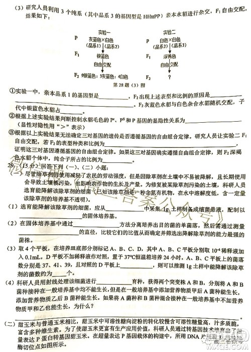 2022学年第一学期浙江省七彩阳光新高考研究联盟返校联考高三生物试题及答案