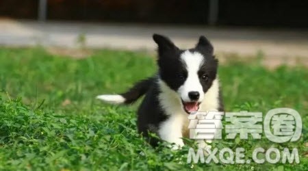 冬日里的温暖记叙文作文600字 关于冬日里的温暖的记叙文作文600字 冬日里的温暖记叙文作文600字 关于冬日里的温暖的记叙文作文600字