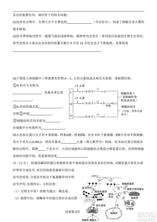 福建省龙岩一中2023届高三第一次月考生物试题及答案 福建省龙岩一中2023届高三第一次月考生物试题及答案