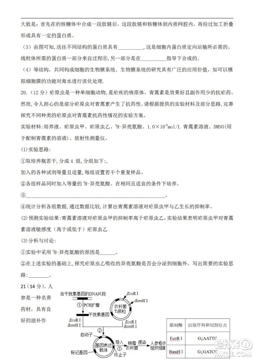 福建省龙岩一中2023届高三第一次月考生物试题及答案 福建省龙岩一中2023届高三第一次月考生物试题及答案