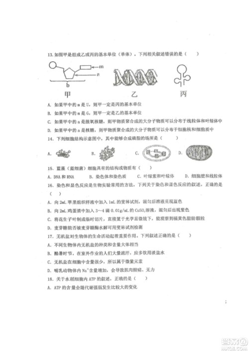 黑龙江省龙西北八校联合体2022-2023学年高三上学期开学摸底考试生物试题及答案