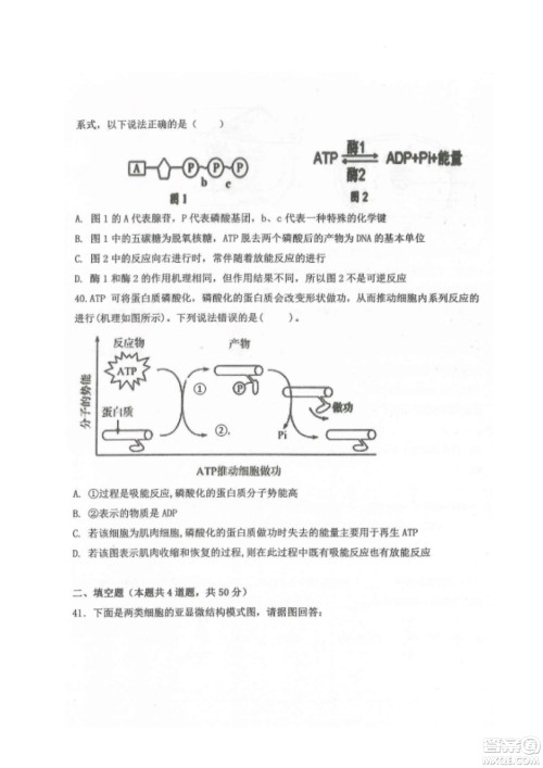 黑龙江省龙西北八校联合体2022-2023学年高三上学期开学摸底考试生物试题及答案