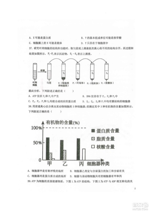 黑龙江省龙西北八校联合体2022-2023学年高三上学期开学摸底考试生物试题及答案