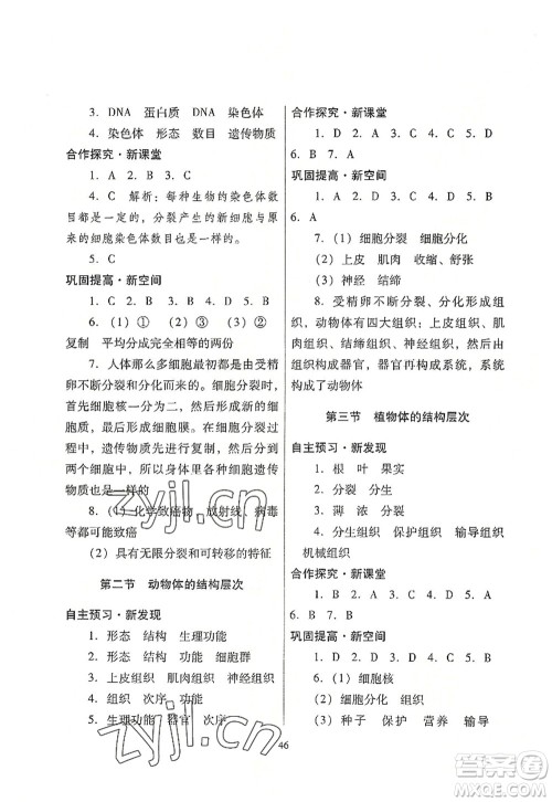 广东教育出版社2022南方新课堂金牌学案七年级生物上册人教版答案 广东教育出版社2022南方新课堂金牌学案七年级生物上册人教版答案