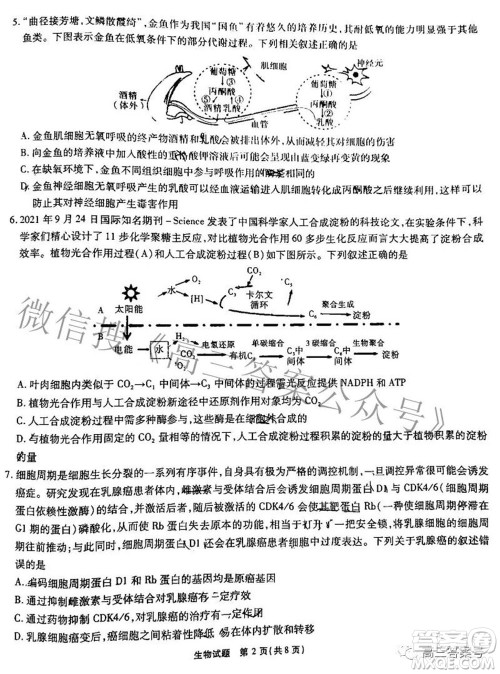 江淮十校2023届高三第一次联考生物试题及答案