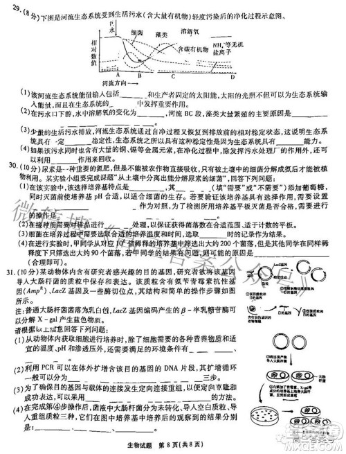 江淮十校2023届高三第一次联考生物试题及答案