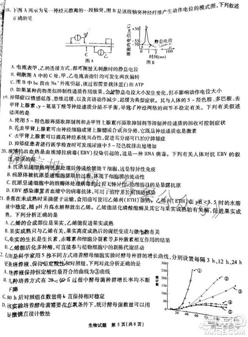 江淮十校2023届高三第一次联考生物试题及答案