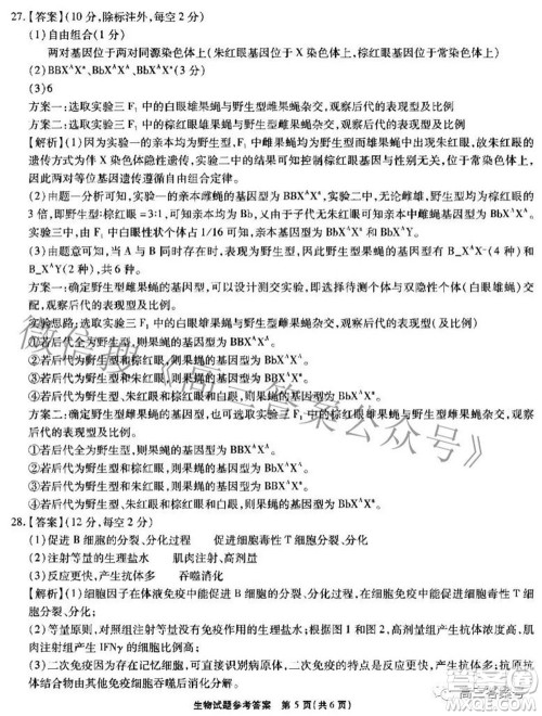 江淮十校2023届高三第一次联考生物试题及答案 江淮十校2023届高三第一次联考生物试题及答案