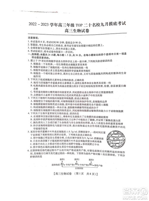 河南省六市2022-2023学年高三年级TOP二十名校九月摸底考试高三生物试卷及答案