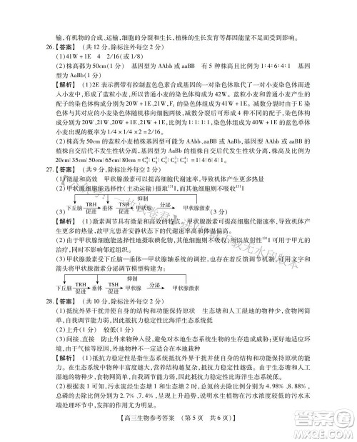 河南省六市2022-2023学年高三年级TOP二十名校九月摸底考试高三生物试卷及答案