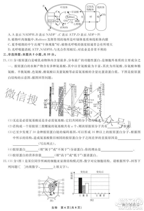 辽宁省名校联盟2022年高三9月份联合考试生物试题及答案 辽宁省名校联盟2022年高三9月份联合考试生物试题及答案