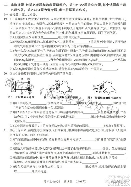 广西2022年9月联盟校入学统一检测卷高三生物试题及答案