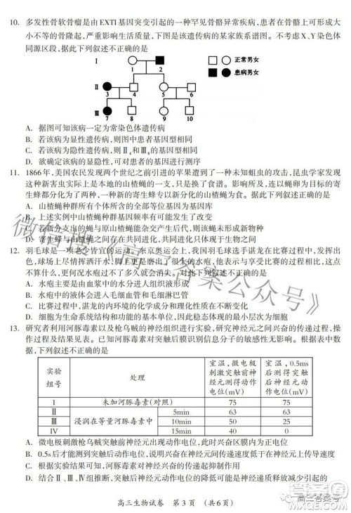广西2022年9月联盟校入学统一检测卷高三生物试题及答案 广西2022年9月联盟校入学统一检测卷高三生物试题及答案