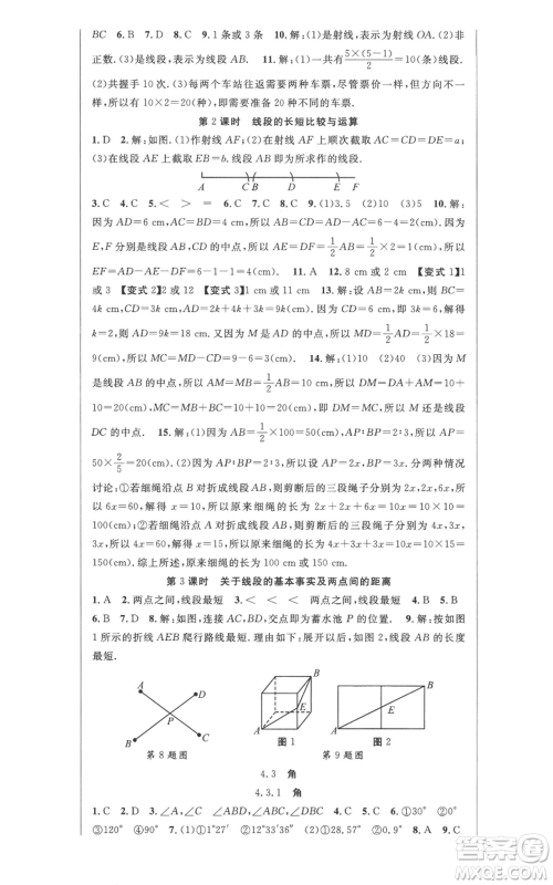 新世纪出版社2022秋季课时夺冠七年级上册数学人教版参考答案