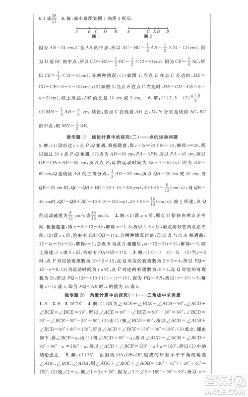 新世纪出版社2022秋季课时夺冠七年级上册数学人教版参考答案