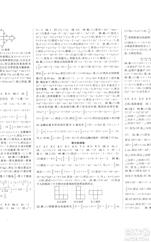 新疆科学技术出版社2022秋季课时夺冠七年级上册数学北师大版参考答案