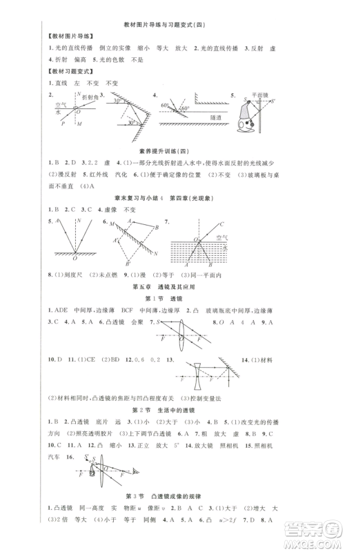 新世纪出版社2022秋季课时夺冠八年级上册物理人教版参考答案