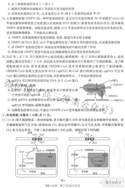 2023届福建金太阳高三9月联考生物试题及答案