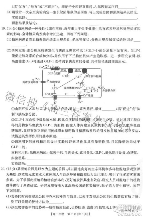 2023届福建金太阳高三9月联考生物试题及答案