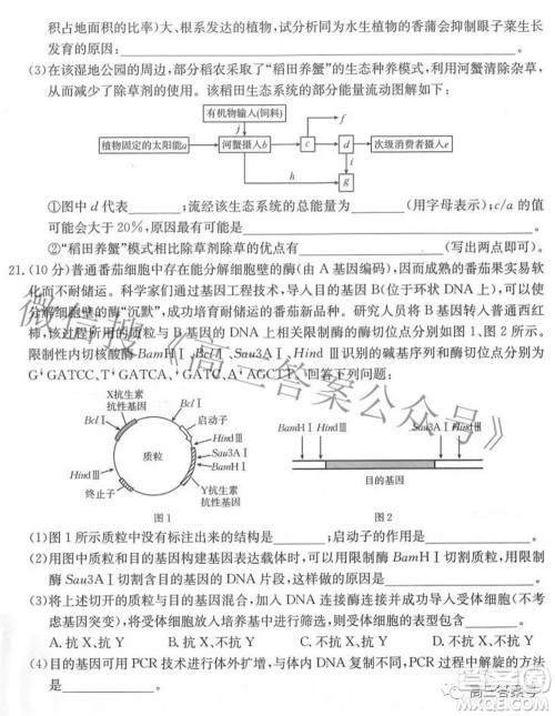 2023届福建金太阳高三9月联考生物试题及答案