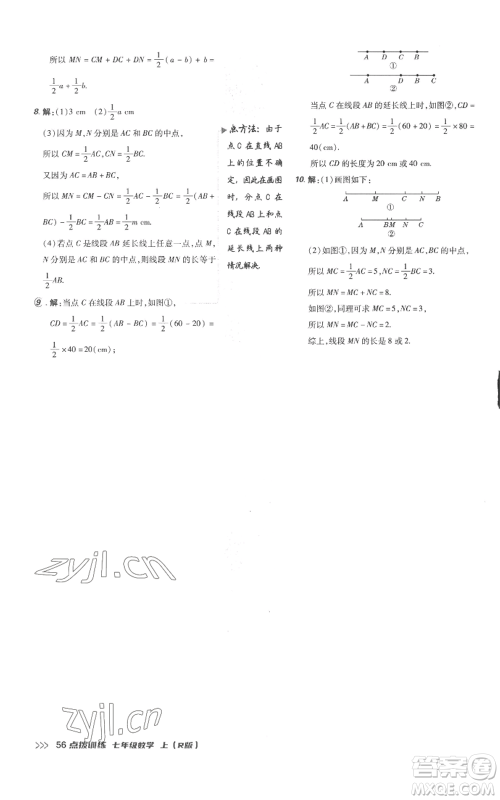 吉林教育出版社2022秋季点拨训练七年级上册数学人教版参考答案