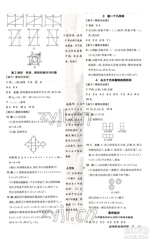 安徽教育出版社2022秋季点拨训练七年级上册数学北师大版参考答案