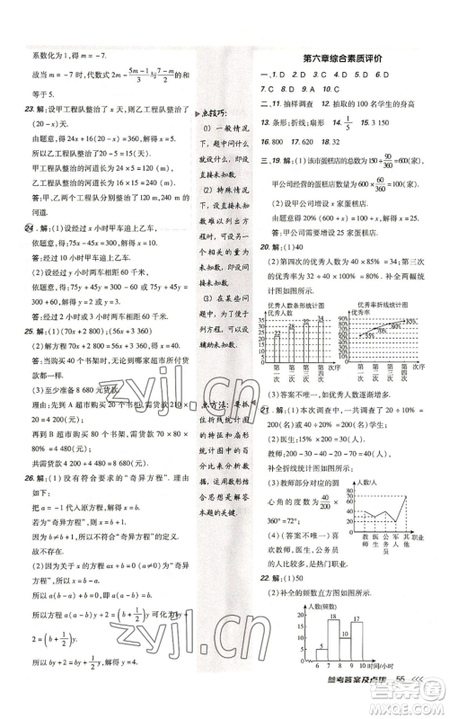 安徽教育出版社2022秋季点拨训练七年级上册数学北师大版参考答案